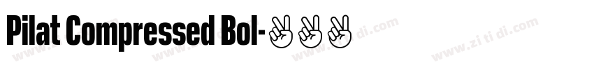 Pilat Compressed Bol字体转换